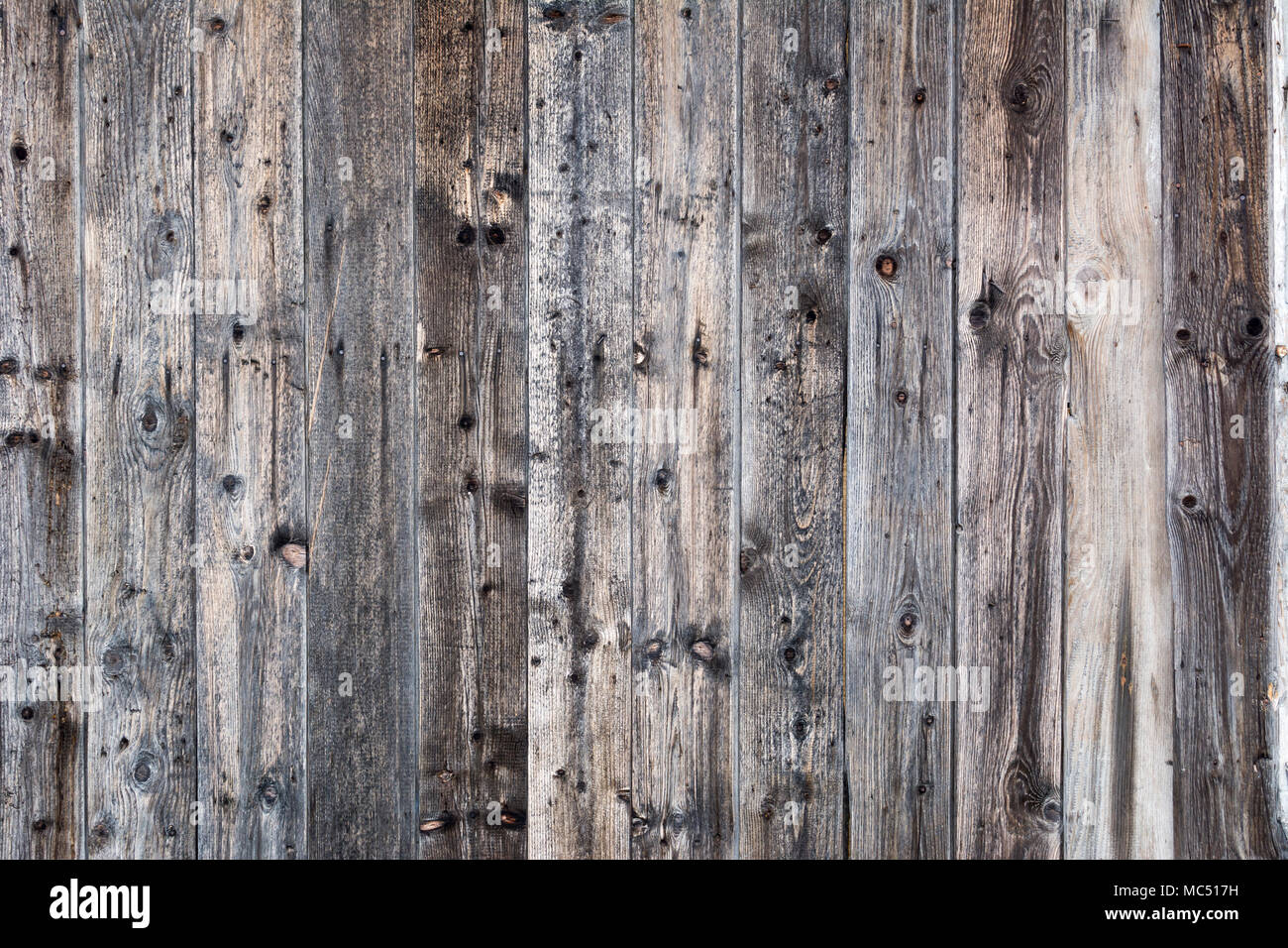 Wood template, texture, natural background. empty template Stock Photo