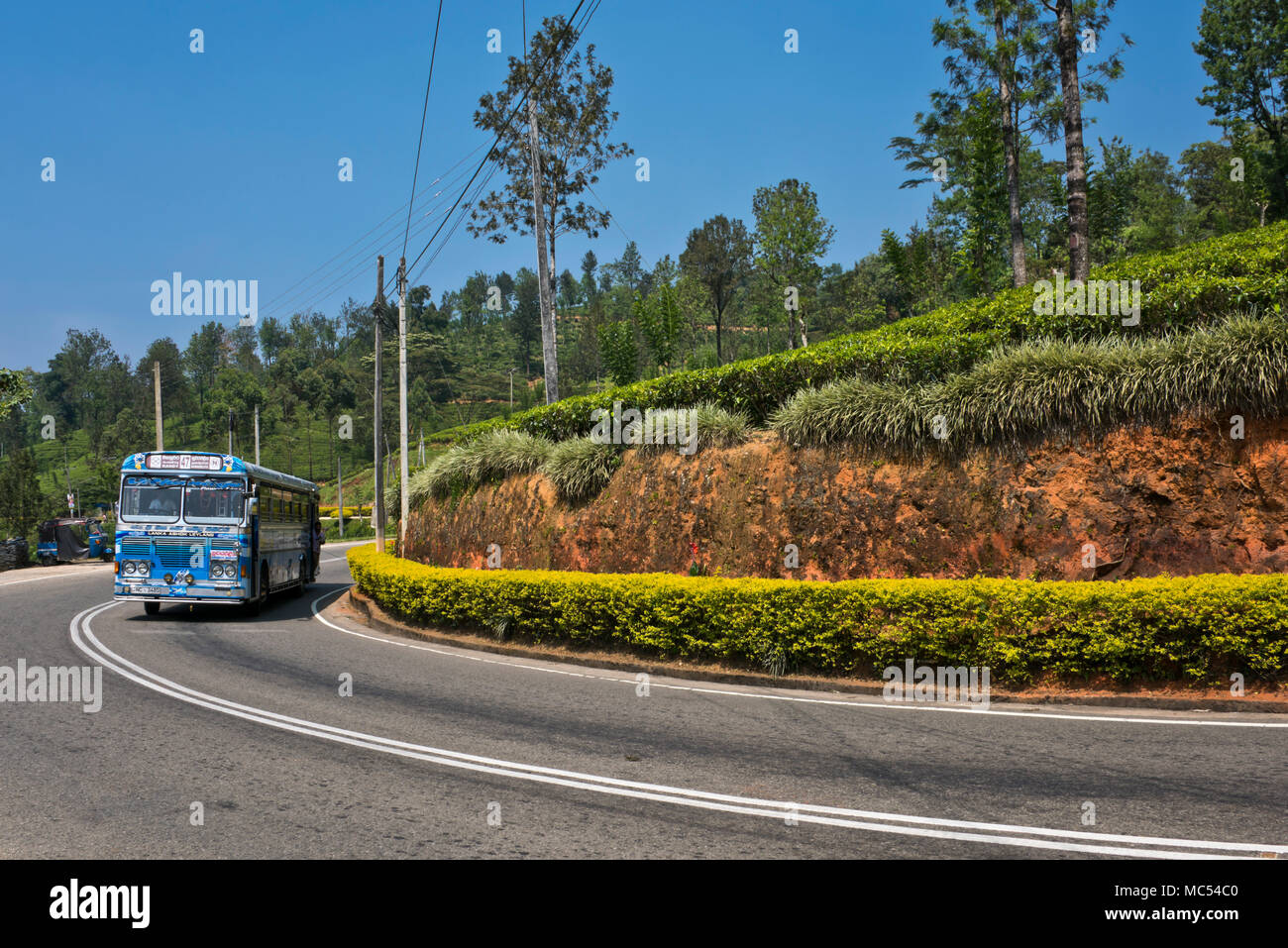 Sri lanka tourist bus hi-res stock photography and images - Alamy