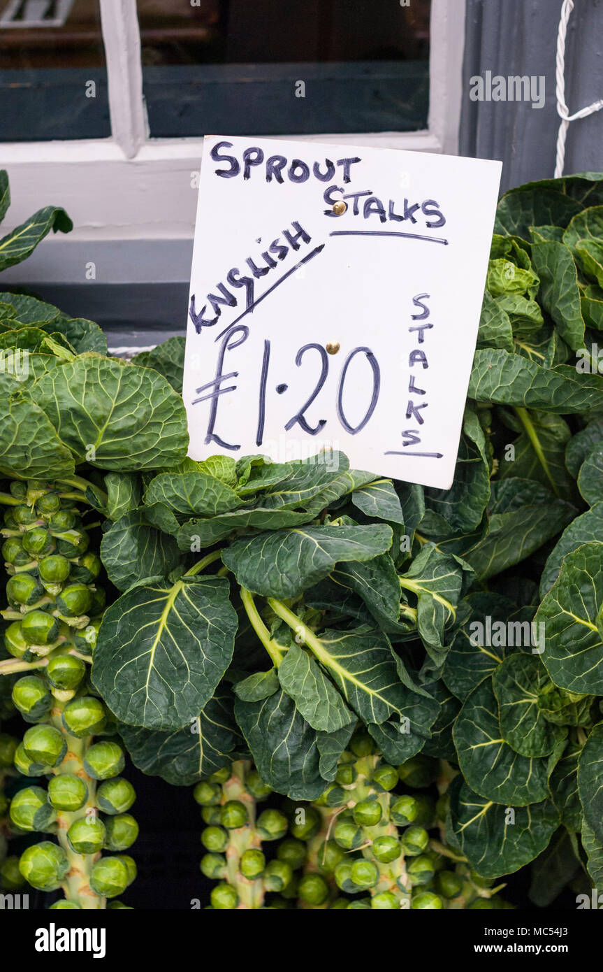 English sprouts on stalks for sale in the Uk Stock Photo