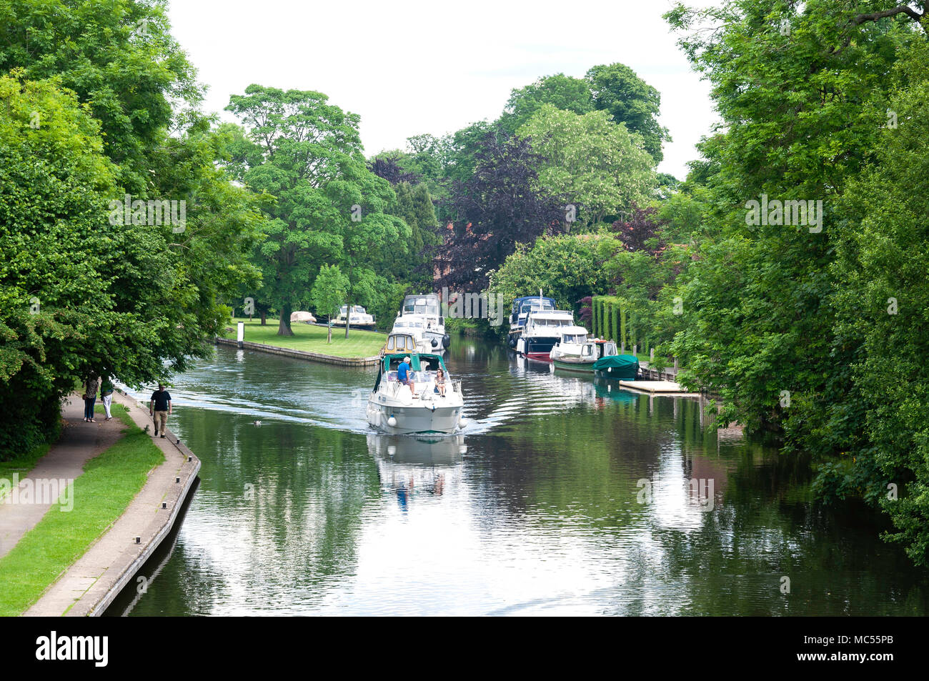 Leisure boat on River Thames at Hurley, Berkshire, England, United Kingdom Stock Photo