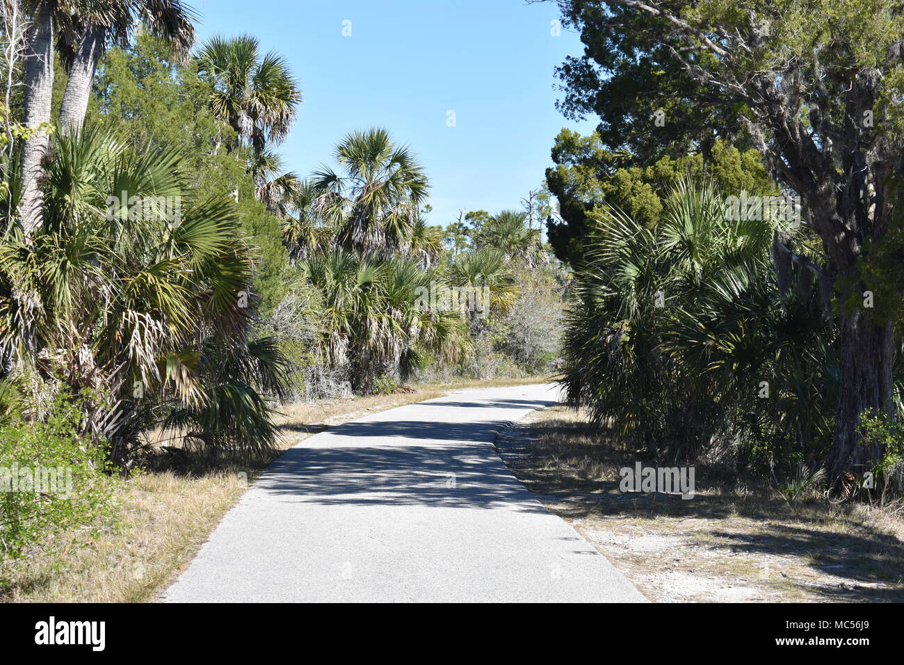 skyScenes from road trip through Weeki Wachee, Florida (USA) Stock Photo