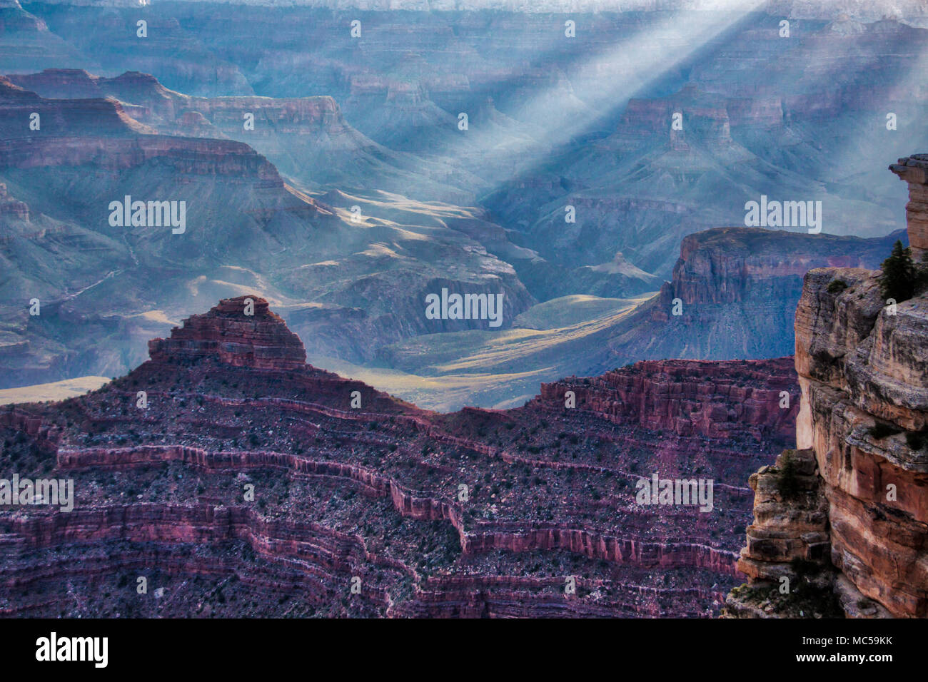 Sunrise on the South Rim of the Grand Canyon National Park in Arizona. Grand Canyon is a geological wonder, with rock layers as "windows into time" Stock Photo