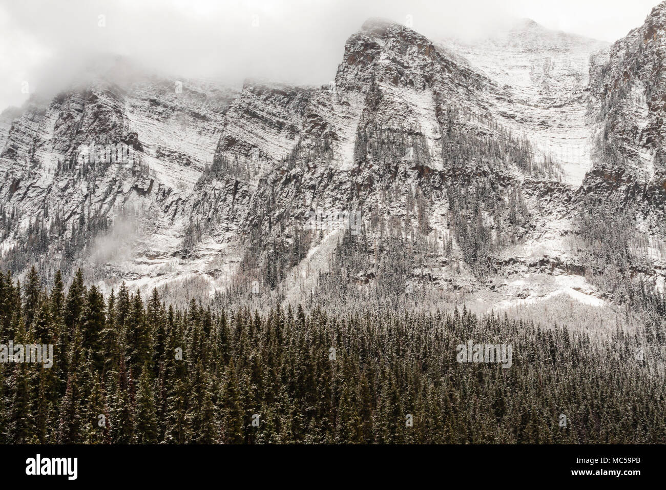 Snow Storm in late October at Lake Louise and Victoria Glacier in Banff National Park in Alberta, Canada. Stock Photo