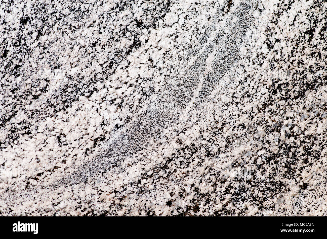 Granite from the Atlanta Lobe of the Idaho Batholith in southcentral Idaho.  The light minerals are plagioclase feldspar and quartz, while the dark mi Stock Photo