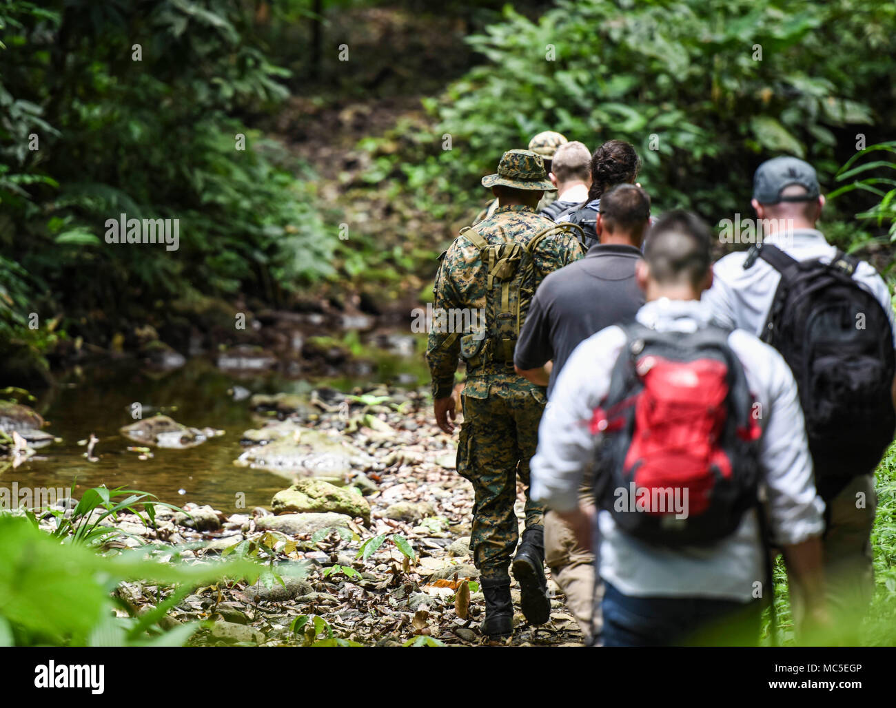 Members of the 346th Air Expeditionary Group hike along a trail in the Darien National Park, Panama, April 2, 2018, during exercise New Horizons 2018. Following the hike, 346th AEG members spoke to local village members about the assistance that New Horizons 2018 will bring to the communities throughout the region. Exercise New Horizons is a joint training exercise where all branches of the U.S. military conduct training in civil engineer, medical and support services while benefiting the local community. (U.S. Air Force photo by Senior Airman Dustin Mullen/Released) Stock Photo