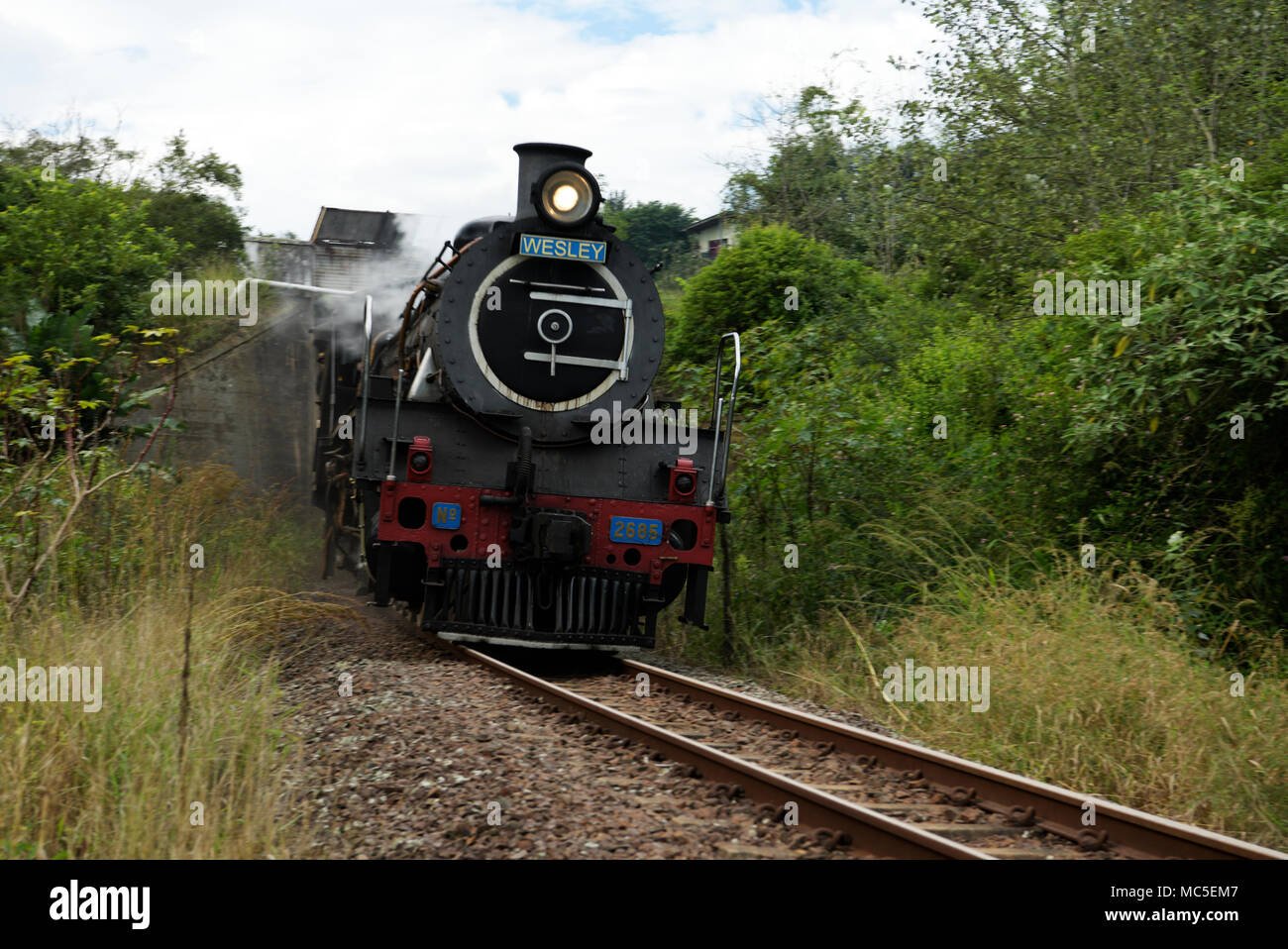Durban, KwaZulu Natal, South Africa, restored class 19D locomotive
