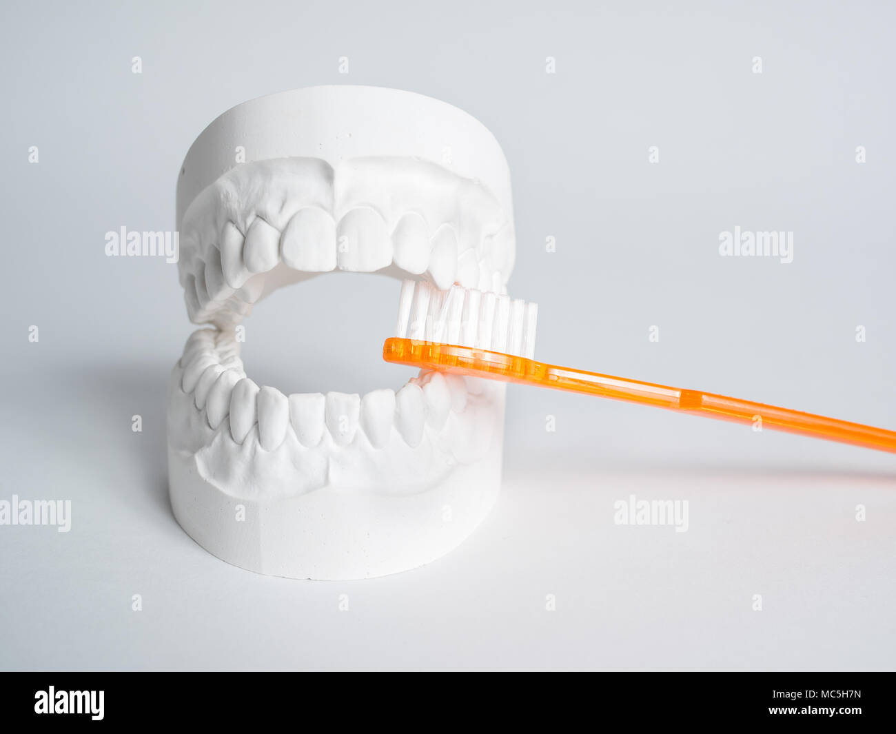 Oral hygiene health concept closeup orange toothbrush in dental gypsum model plaster isolated Stock Photo