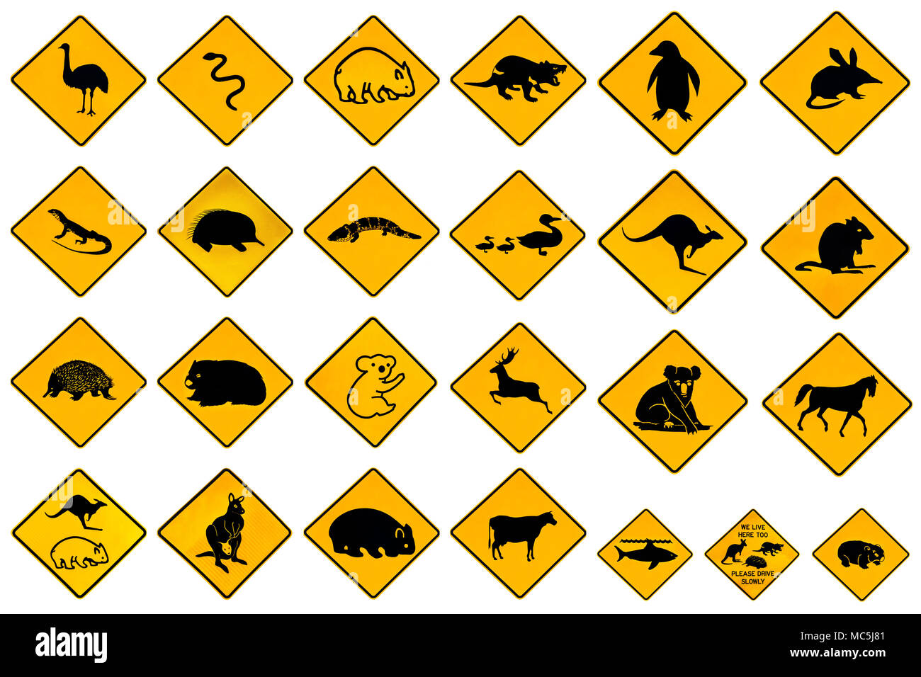 Australian warning signs for wildlife animals: Emu, Echidna, Tasmanian Devil, Wombat, Kangaroo, Penguin, Shark, Ducks Snake Rat Deer reptiles and vehi Stock Photo
