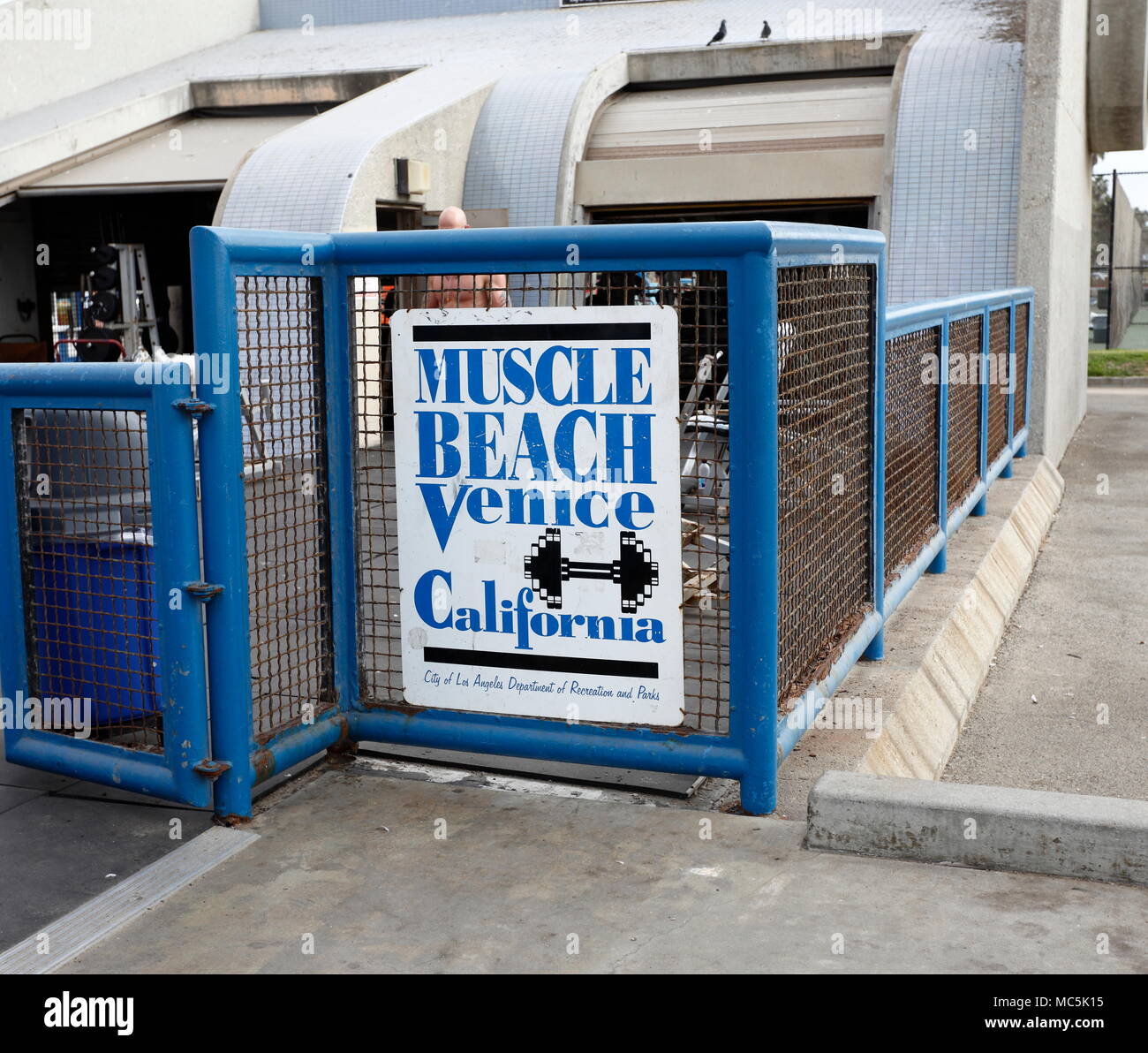 Muscle Building Sign Bodybuilding muscle beach venice beach hi-res stock photography and ...
