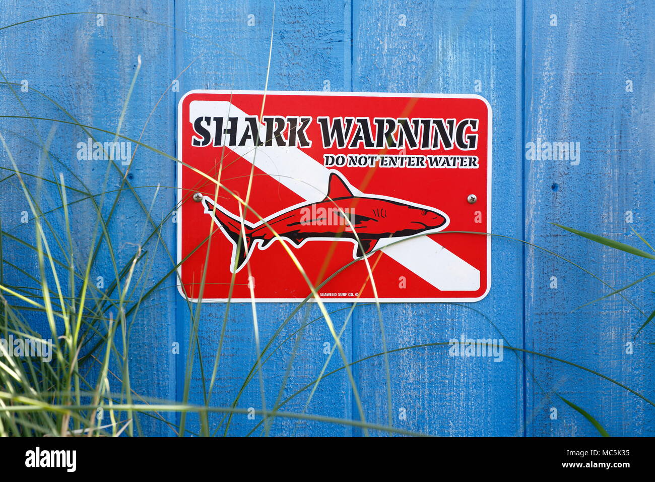 Shark Warning sign at Santa Monica Pier, California Stock Photo