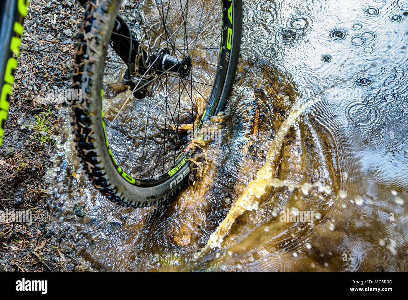 Mountain Bike in the Nature Stock Photo