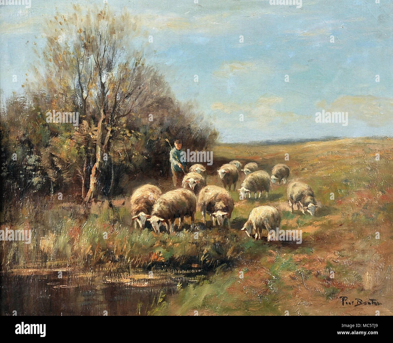 Bouter Pieter - Flock of Sheep in a Landscape Stock Photo