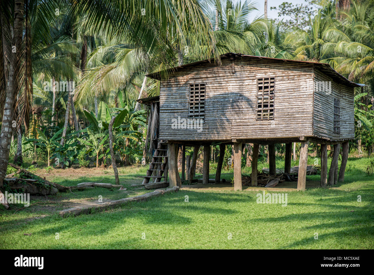 Papua new guinea sepik river house hires stock photography and images Alamy
