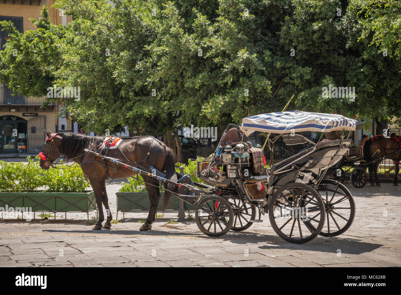 Horse drawn carriage, Piazza Marina, Palermo, Sicily, Italy, parked near the harbour waiting for tourists from cruise ships to take a sightseeing tour Stock Photo