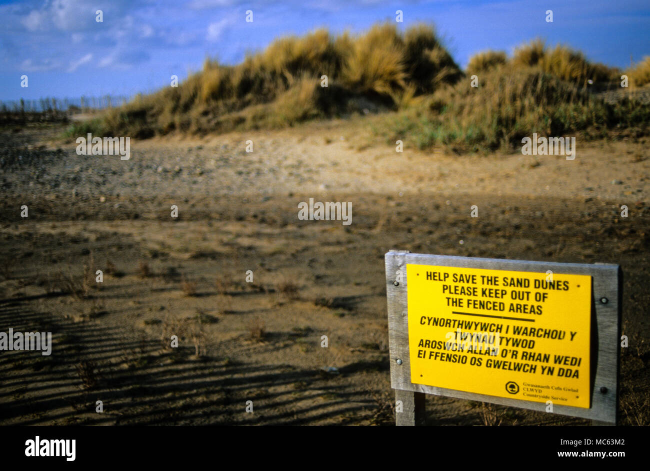 Sand Dune Protection Sign in Welsh, Point of Ayr, River Dee Estuary, North Wales, UK, GB. Stock Photo