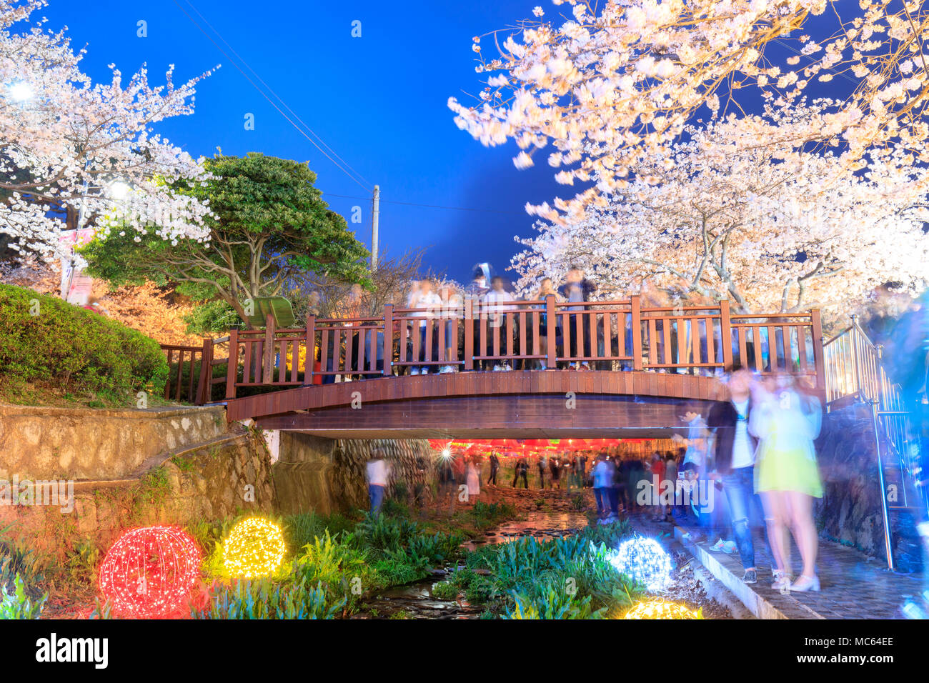 Jinhae South Korea Apr 1 2018 Spring Cherry Blossom Festival At Yeojwacheon Stream At Night In Jinhae Stock Photo Alamy,Kitchenaid Dishwasher Filter Water In Bottom