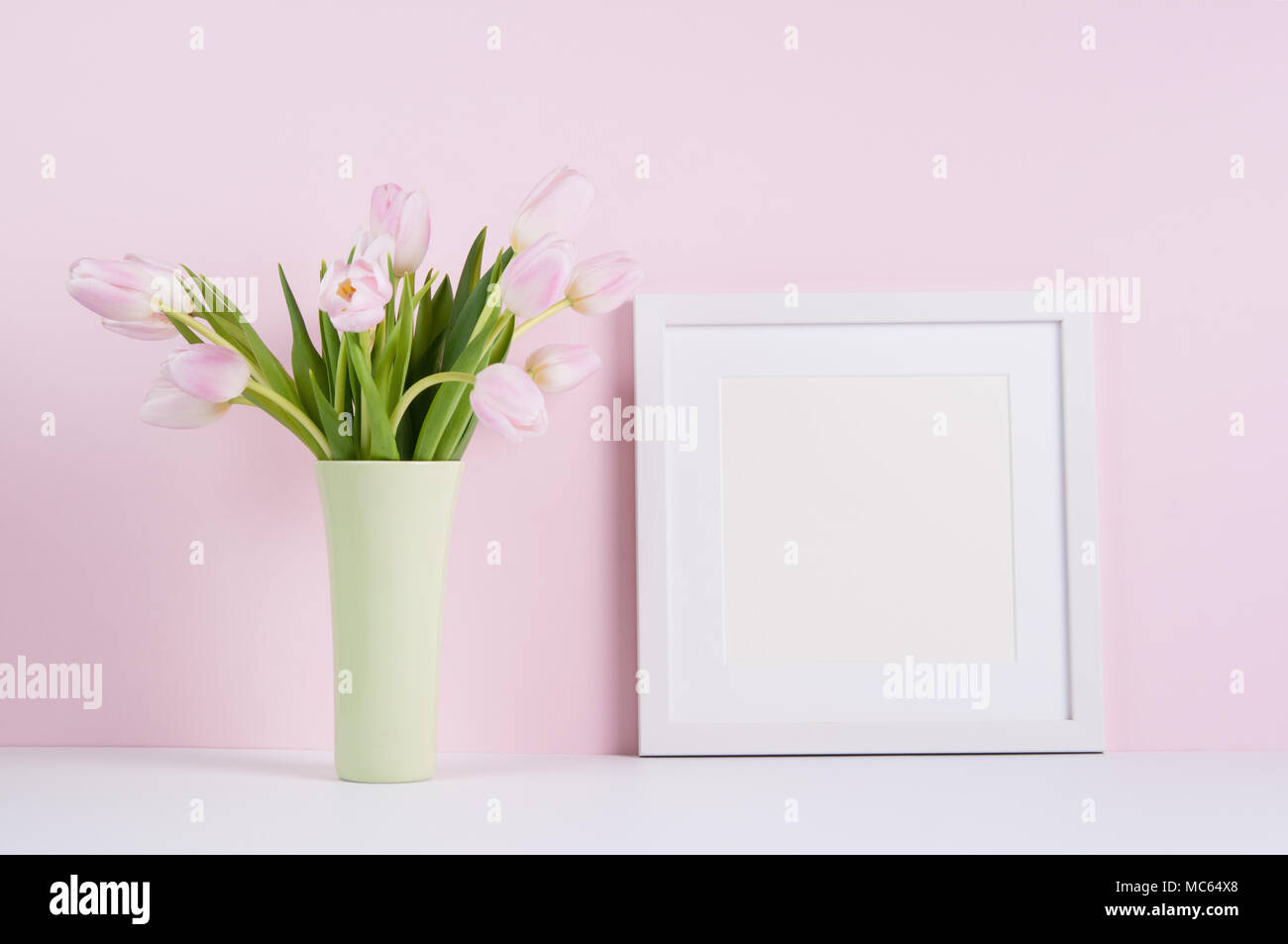 Blank white square picture frame with pink tulips Stock Photo