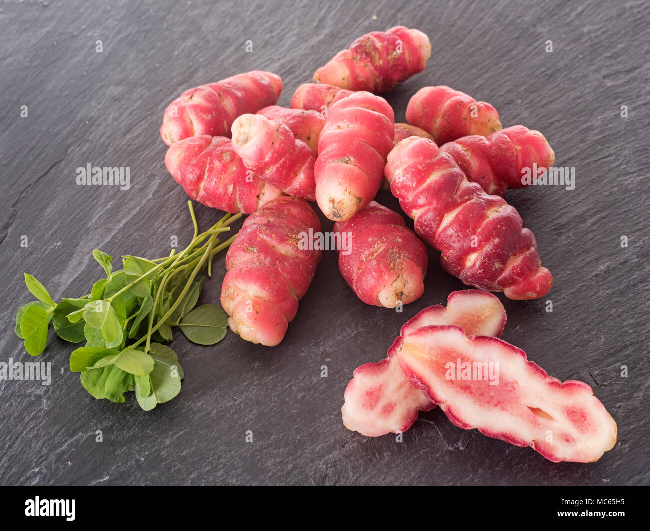 Oxalis tuberosa in front of white background Stock Photo - Alamy