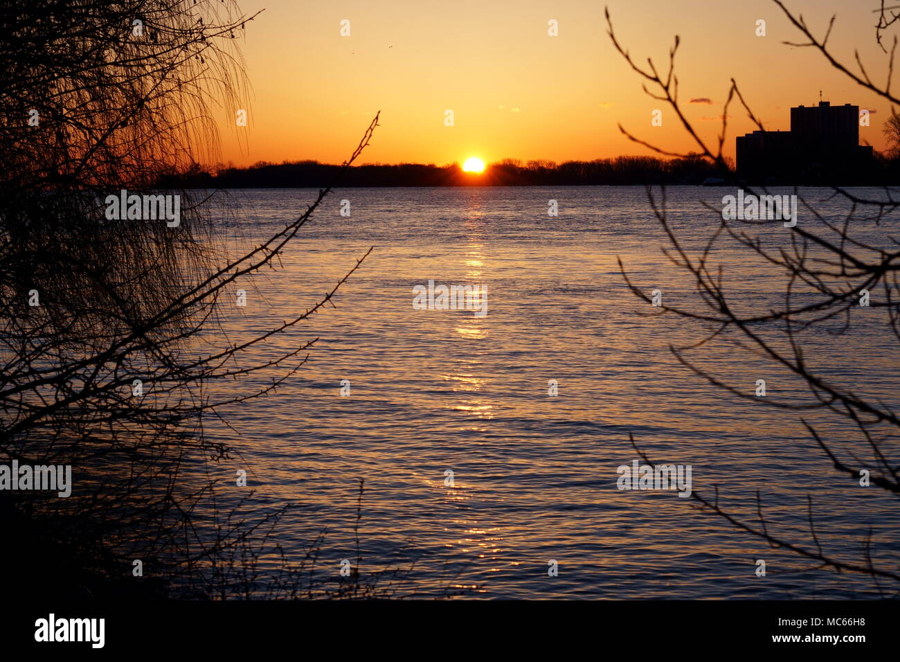 Beautiful sunrise on a large river in a cold morning of April, branches in foreground, some birds and a silhouette of a building. Stock Photo