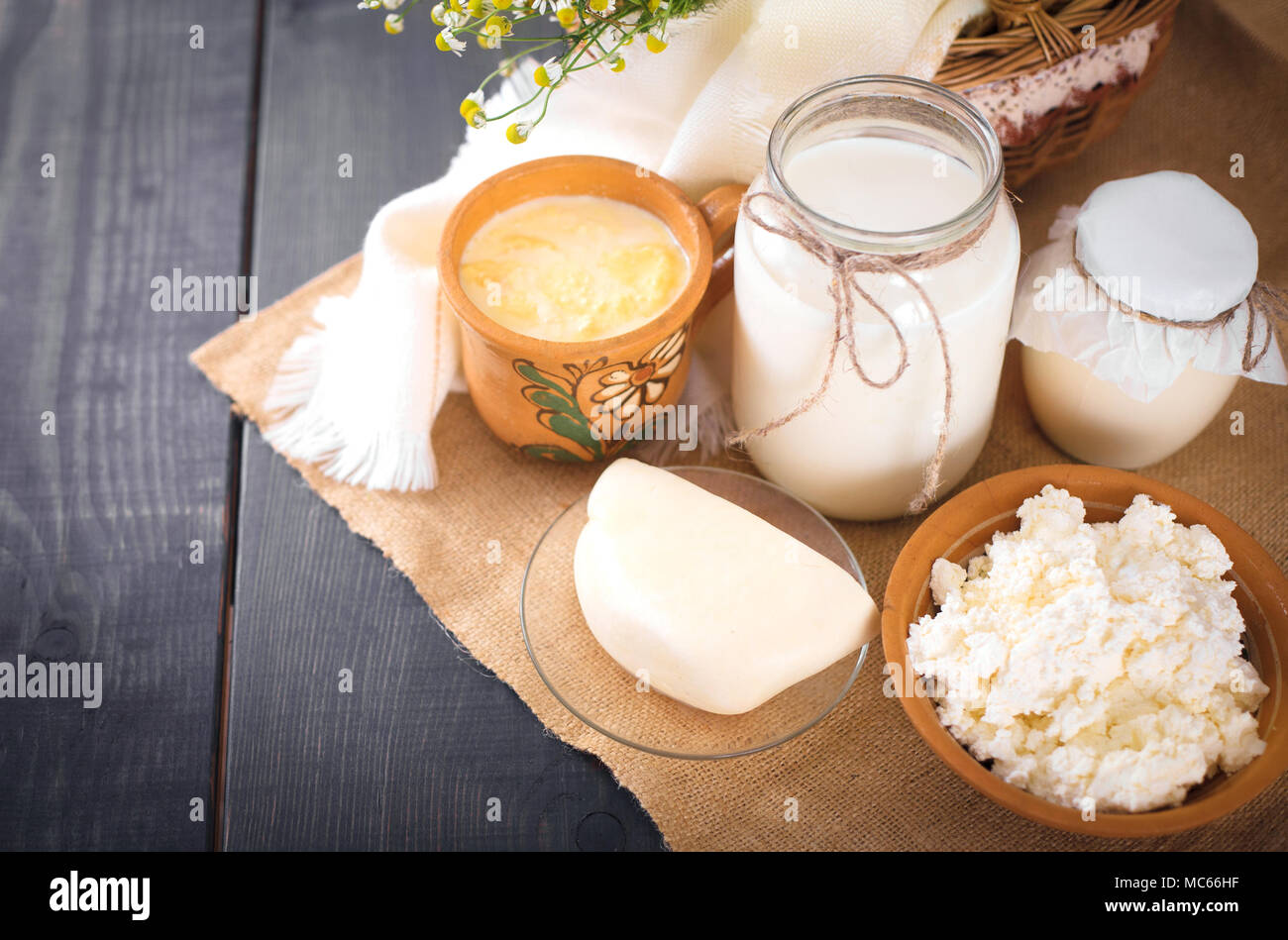 Assorted dairy products milk, yogurt, cottage cheese, sour cream. Rustic still life. Farmer's cow dairy products. Stock Photo
