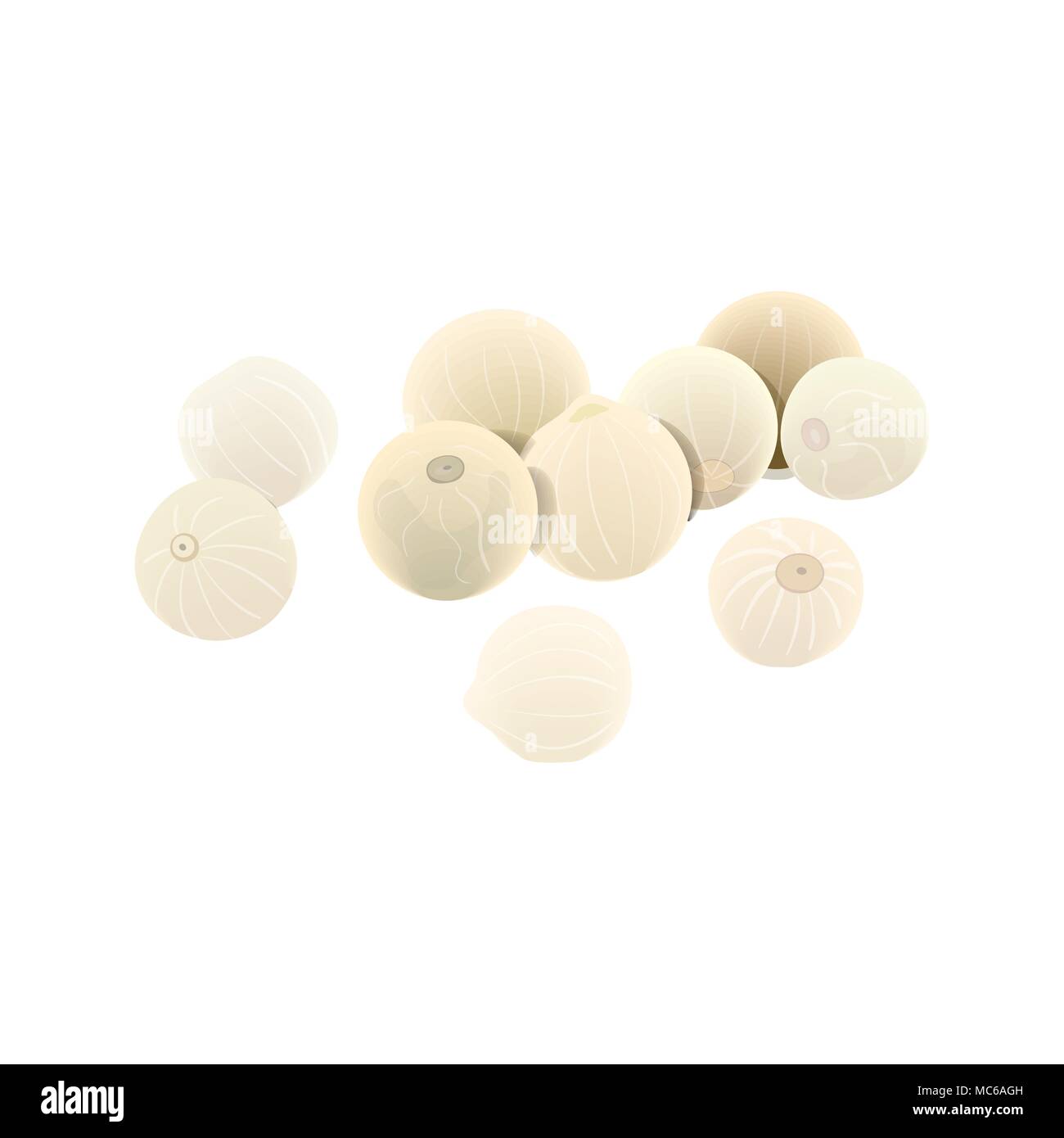 White pepper seeds on white background, top view. Aromatic seeds. spice and seasoning, known as a peppercorn. Stock Vector