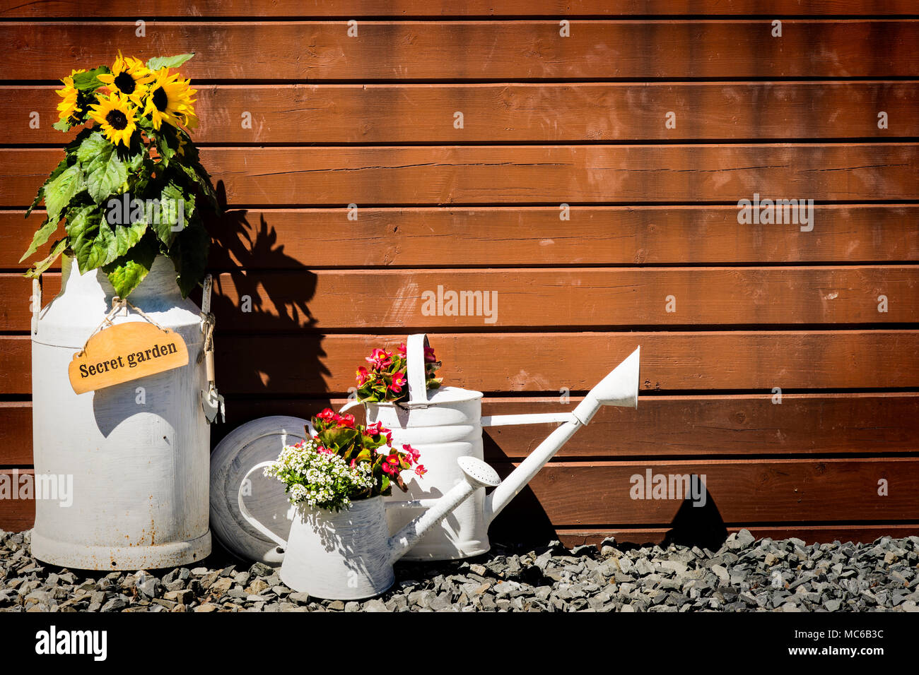 Flowers in watering can on wood background with label. Stock Photo