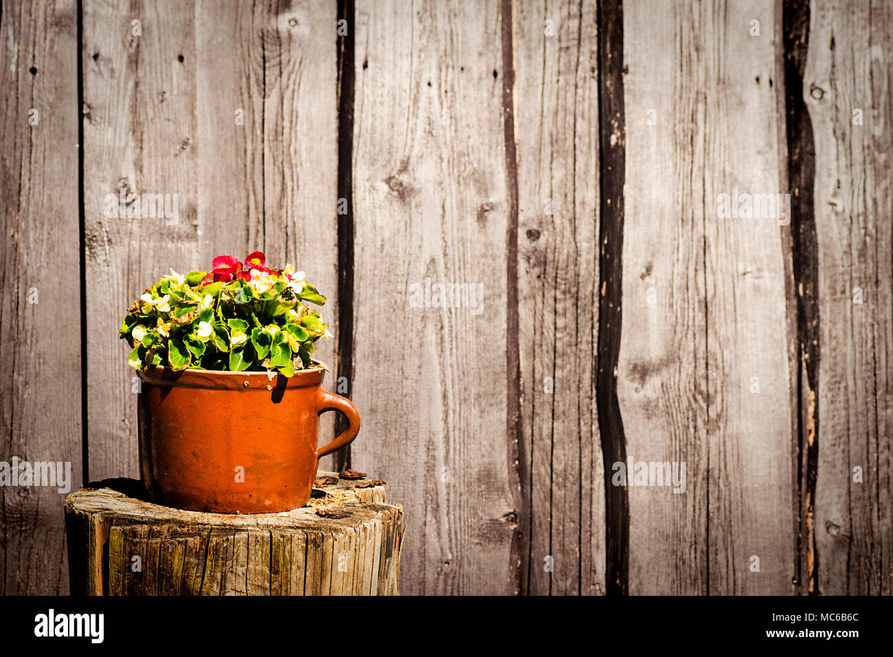 Flowers in clay pot on wooden background. Stock Photo