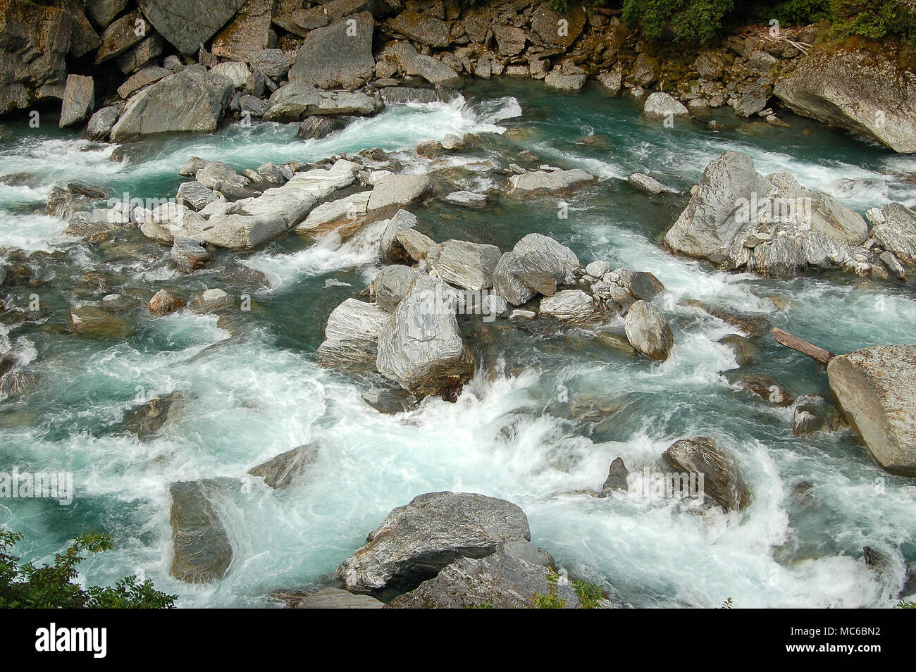 Polished rocks in the Haast River at the Thunder Creek Falls - South Island, New Zealand Stock Photo