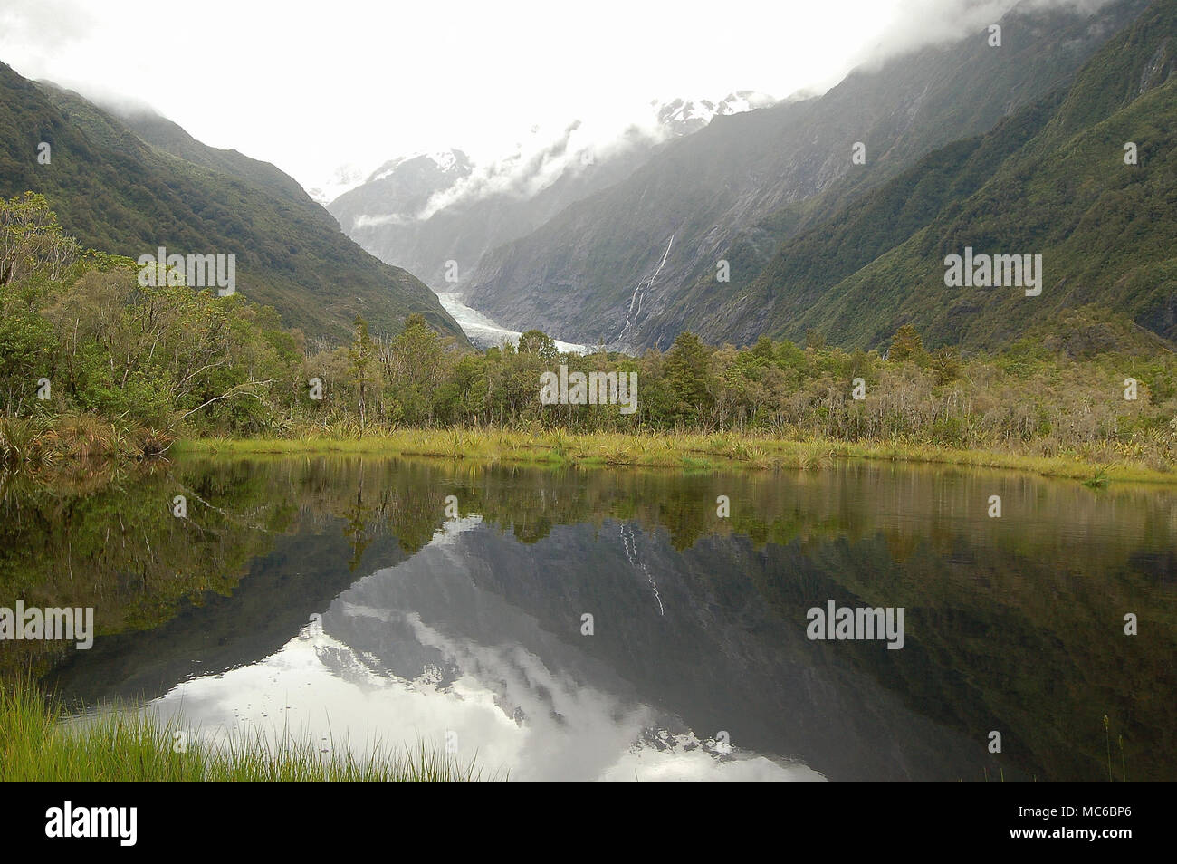 Franz Josef Glacier in Peter's Pond on an overcast summar day Waiau