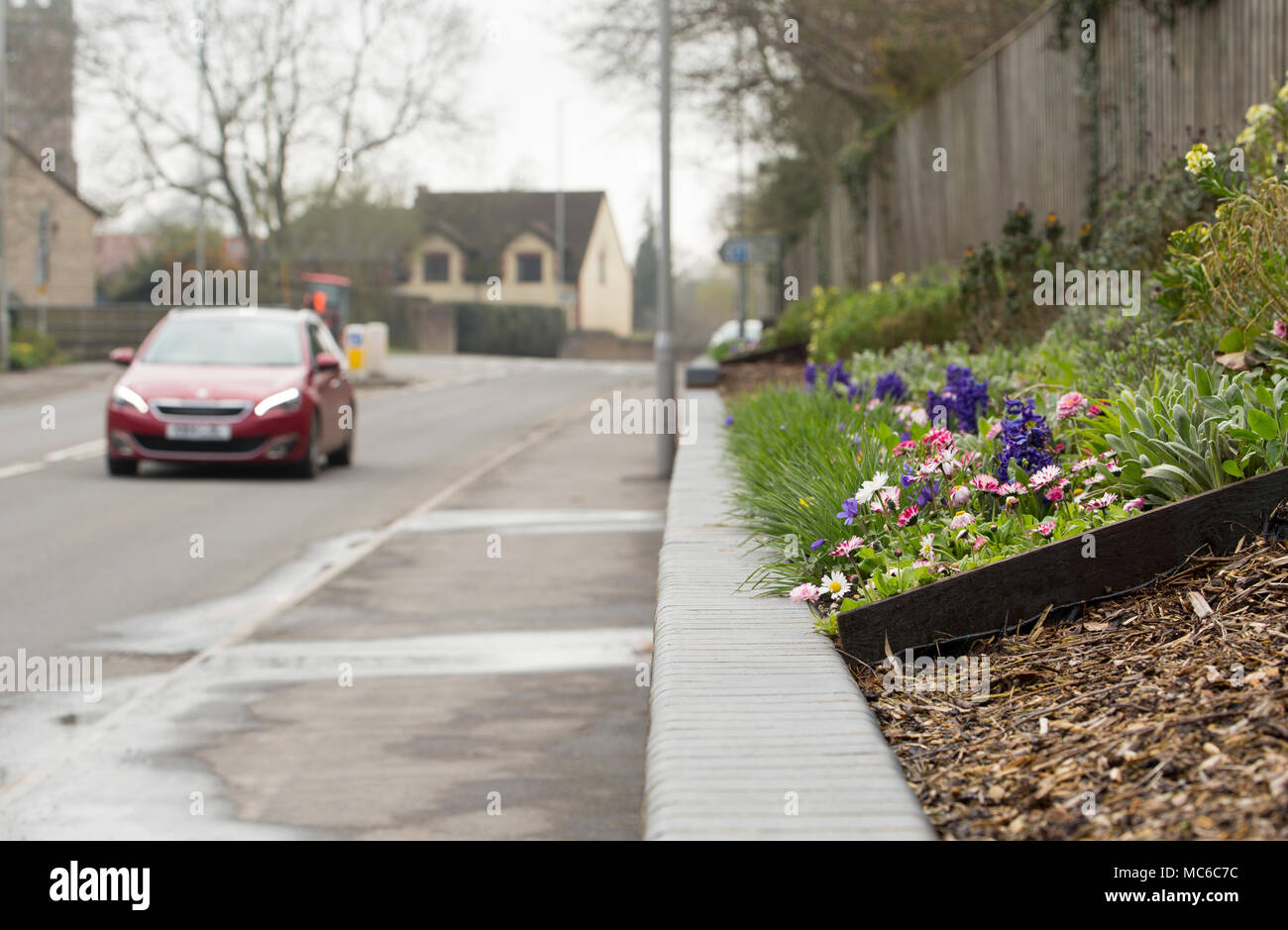 Flowerbeds and mulch alongside a road in April, Gillingham Dorset UK Stock Photo