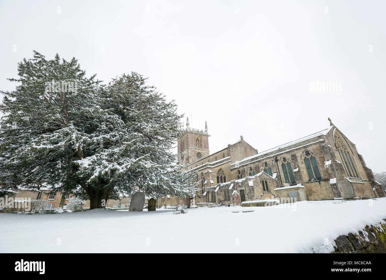 St Mary the Virgin Church in Gillingham North Dorset England UK after snowfall in March 2018 with a large yew tree on the left Stock Photo