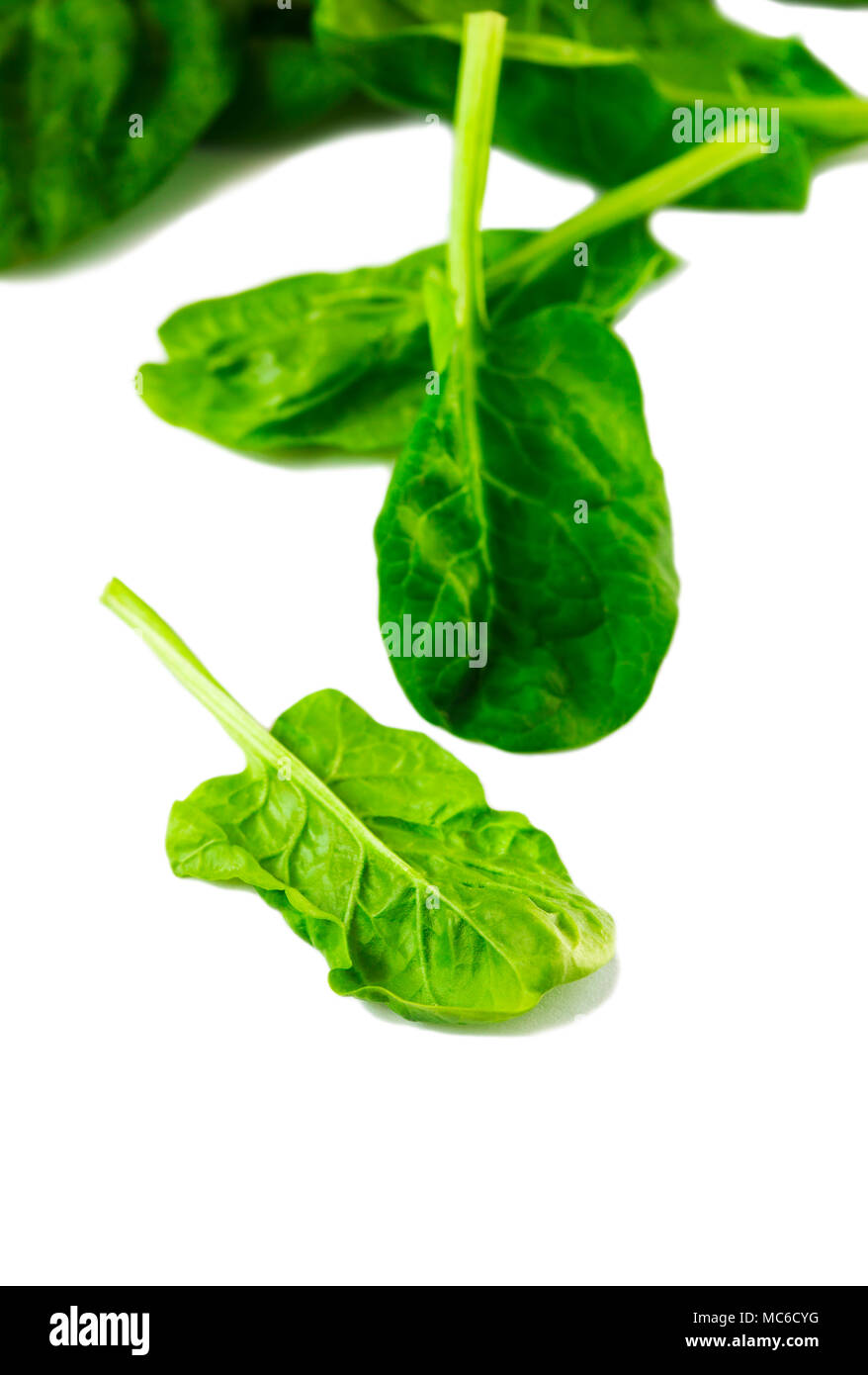 Spinach leaves isolated on white background, copy space Stock Photo - Alamy
