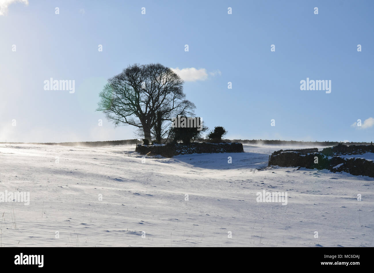 Snowy landscape, clear, sky over Nidderdale UK Stock Photo