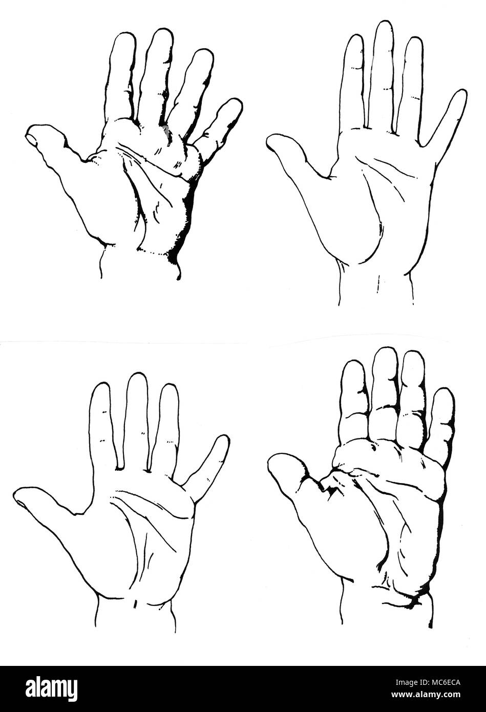PALMISTRY - CARUS' SYSTEM The four types of hand (the four chirognomies) of Carl Gustav Carus, described in his work, Uber Grund und Bedeutung der verschidenen Formen der Hand in verschiedenen Personen, 1846. Reading left to right, from top: the Elementary Hand; the Psychic Hand, the Sensitive Hand, and the Motoric Hand. Stock Photo