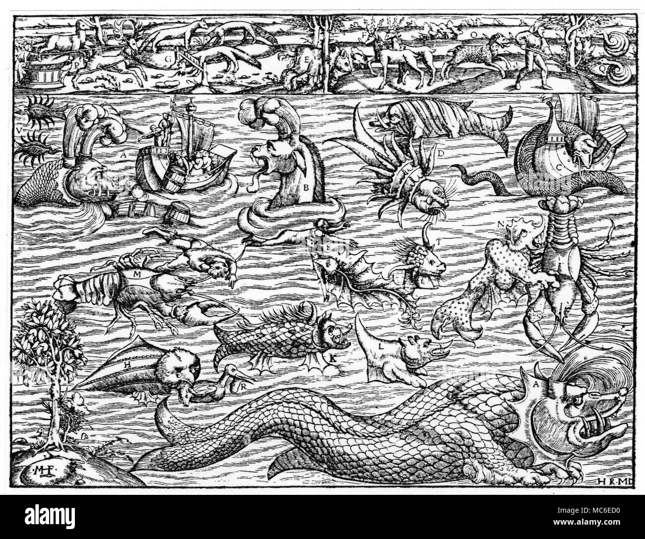 MONSTERS 'Seawonders', and other marine monsters - after a woodcut of 1550 in Sebastian Munser's Kosmographie. Stock Photo
