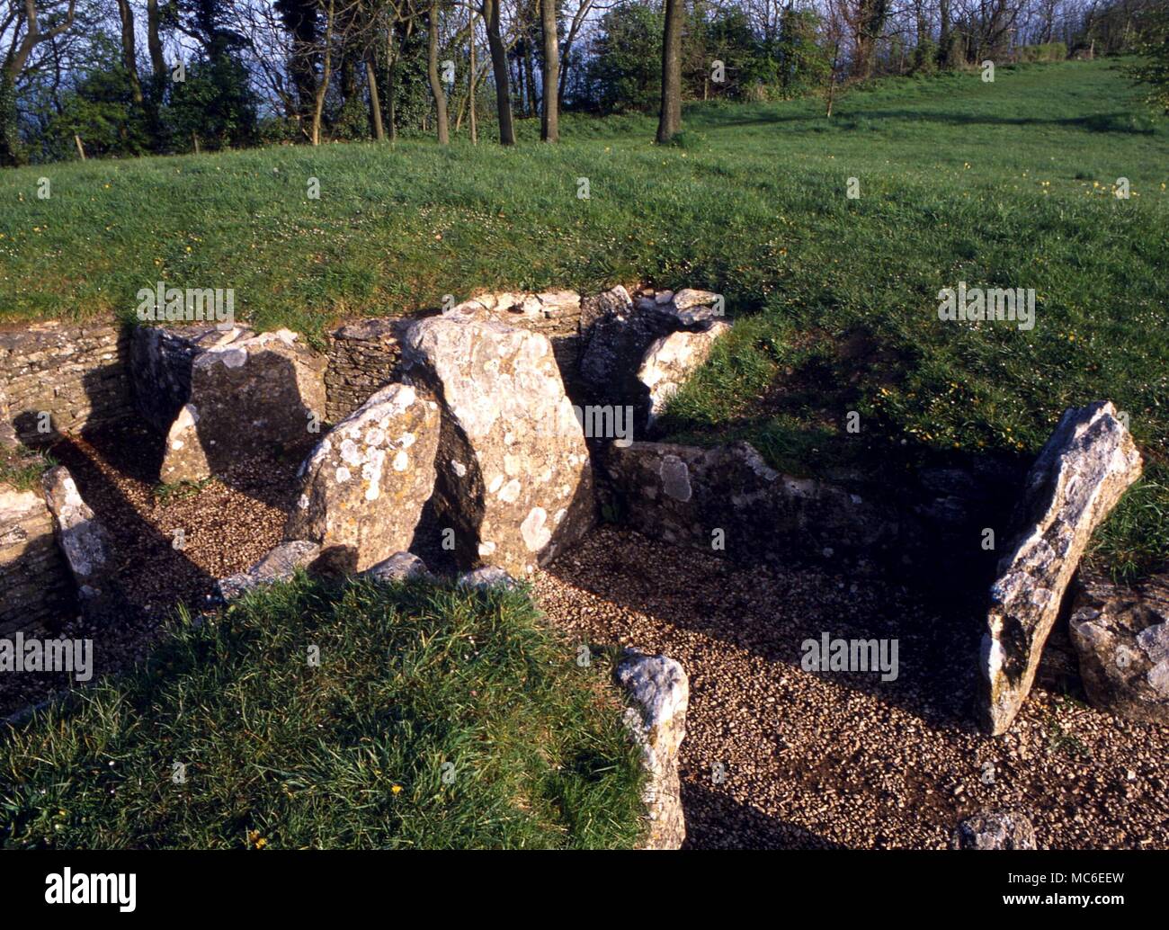 STONES - The Neolithic long-barrow at Nympsfield, near Stroud. c. 2800 BCV. The capstones have been removed. Bones of 13 people found inside the burrows Stock Photo