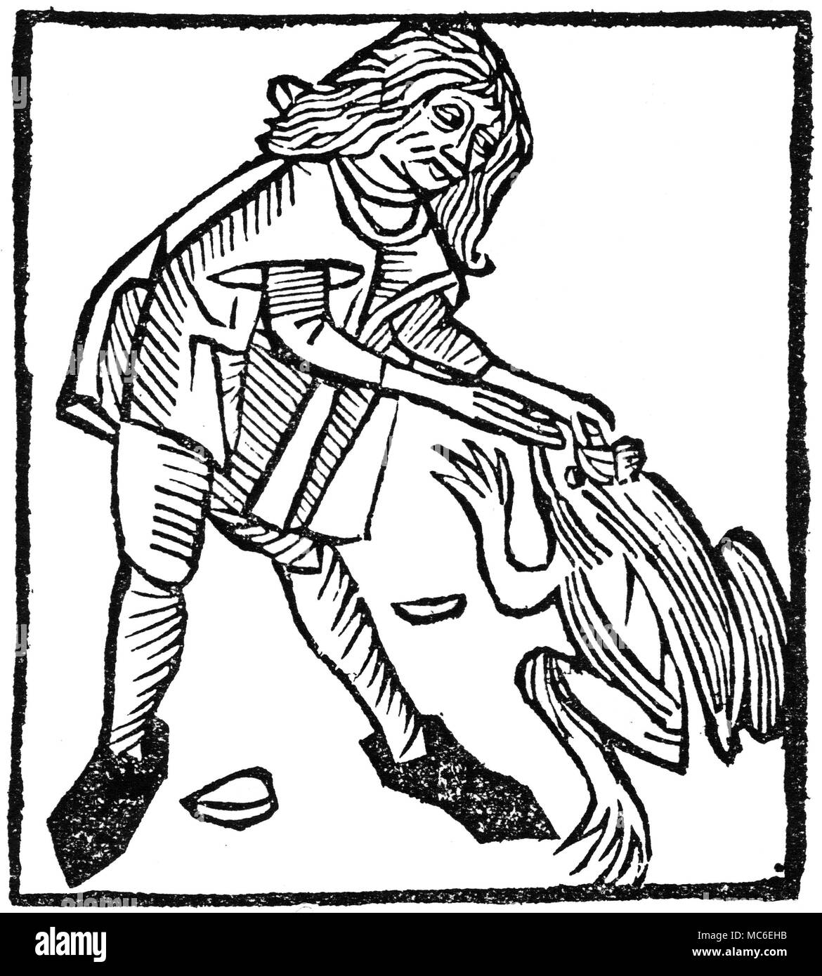 MAGIC - THE TOAD STONE Man extracting the Toadstone, for magical purposes. Woodcut from the 1510 French edition of Hortus Sanitatis. Stock Photo