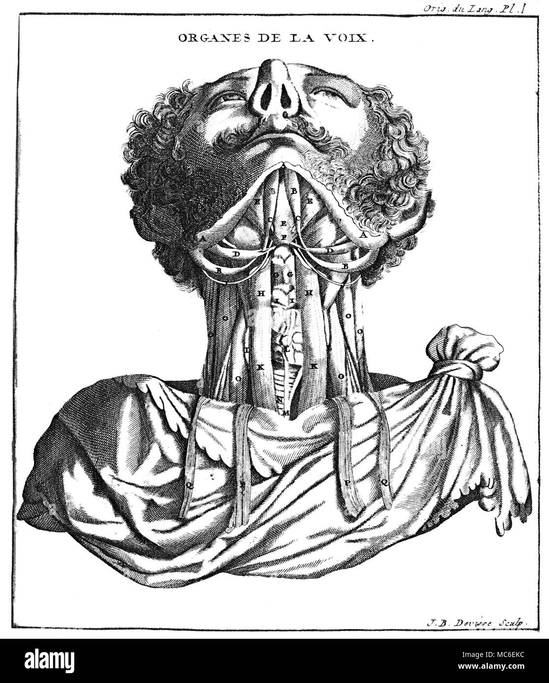 OCCULT PHYSIOGNOMY Engraving by Jean-Baptiste Devisse of what are called 'the organs of the voice', from Court de Gebelin, Le Monde Primitif, Analyse et Compare Avec le Monde Moderne, 1789. Stock Photo