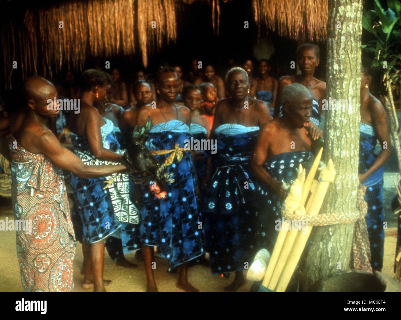 AFRICAN MAGIC - Sopono worshippers, directed by a witch-doctor, prepare a hen for sacrifice Stock Photo