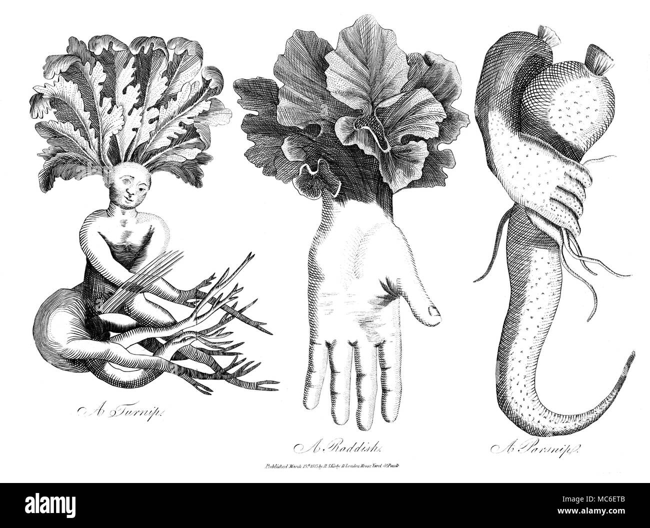STRANGE PHENOMENA Three curious roots - a turnip in the shape of a man, a radish in the form of a hand, and a parsnip in the form of a hand grasping a hook. Fold-out engraving of 1815, used in Kirby's Wonderful and Eccentric Museum; or, Magazine of Remarkable Characters, 1820. Stock Photo