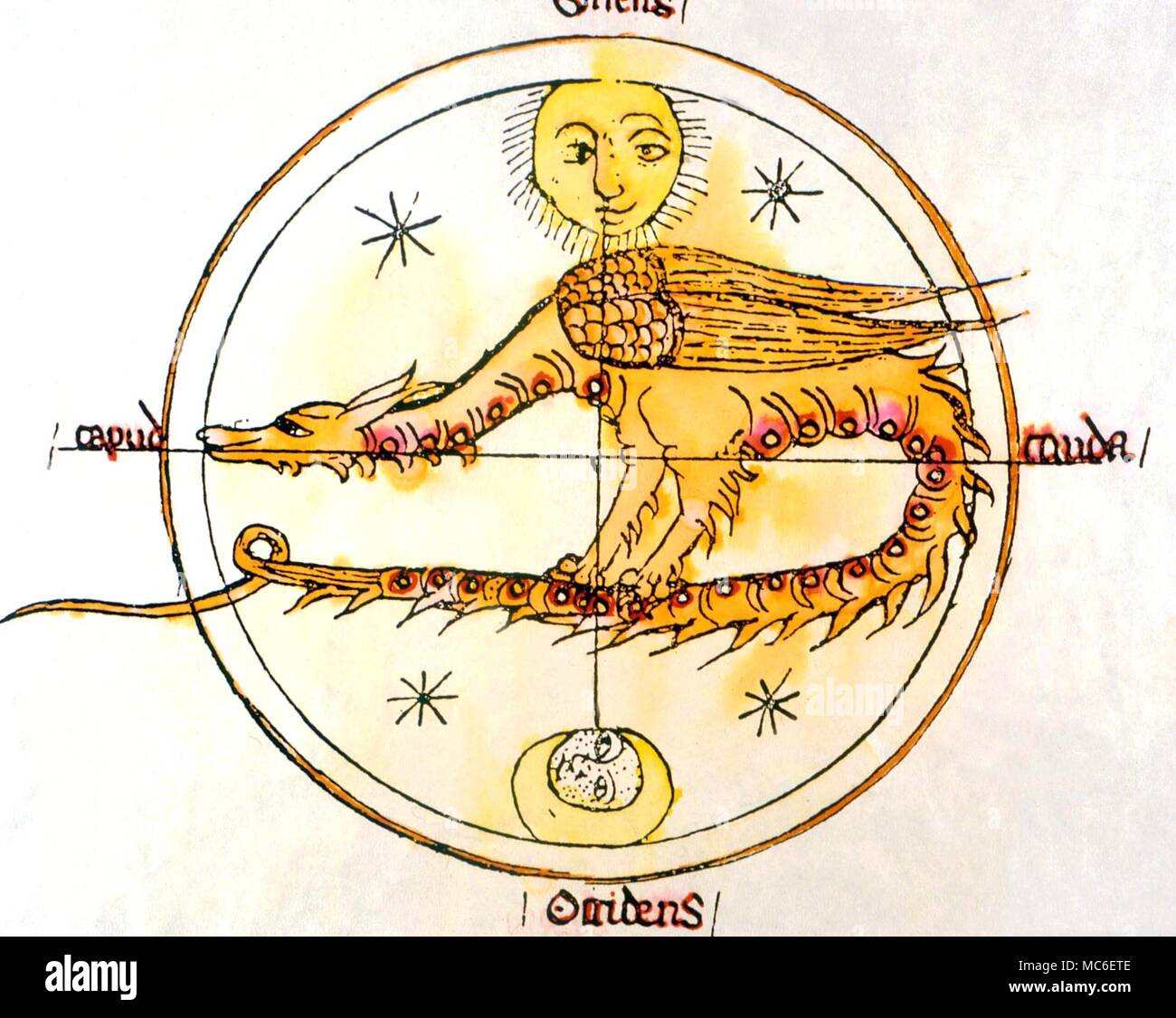 Lunar dragon (the ancient Atalia) representing the head (Caput) and tail (Cauda) of the lunar nodes. After a 13th century manuscript by Michael Scot Stock Photo