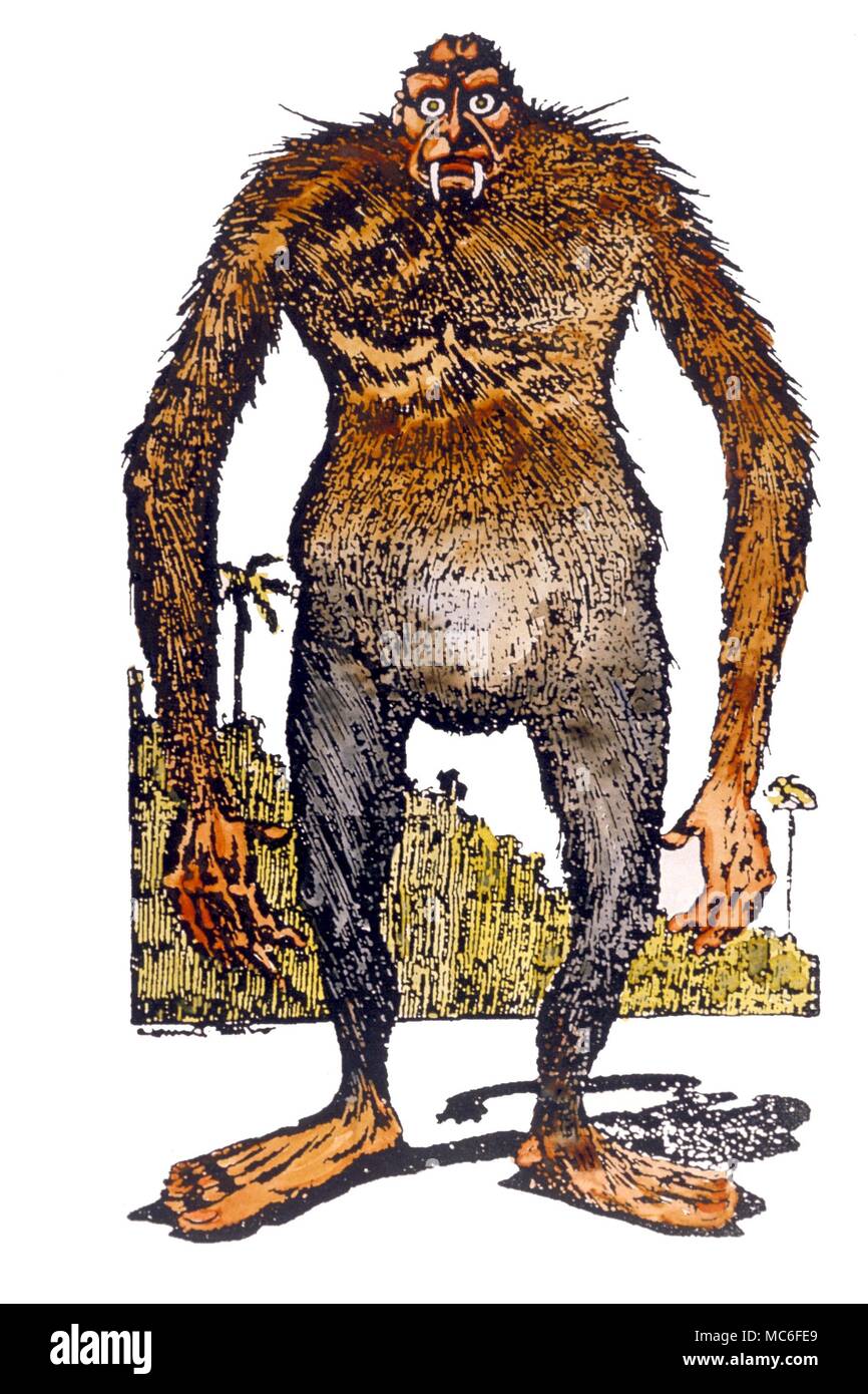 MONSTERS - The Australian Yowie, called the 'Bombala anthropoid' by the Sydney Sun, in November 1912, form which issue this coloured wood engraving was taken Stock Photo