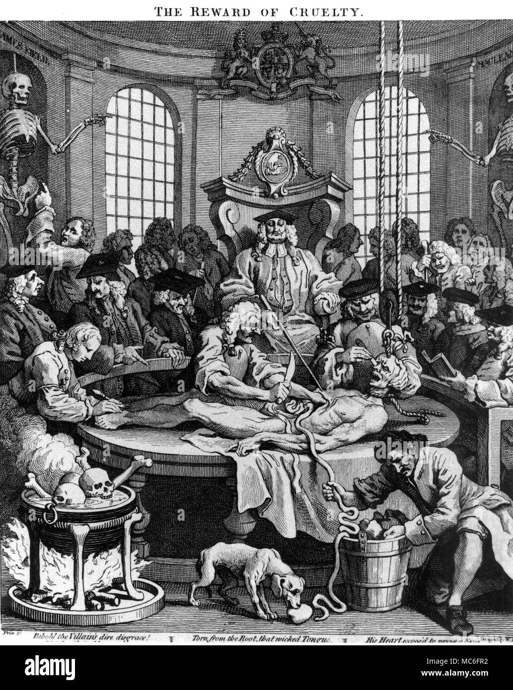 Medical - Dissection, from the series 'The Reward of Cruelty', engraving by William Hogarth. Stock Photo