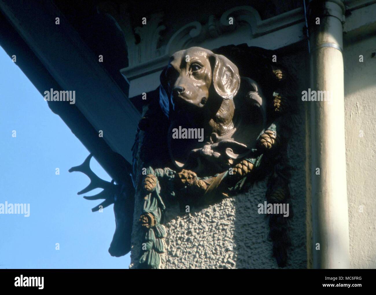 Head of a dog, with stag, sculpted corner on the Hunting Lodge (Jagerhaus) hotel, at Hohenchwangau, Bavaria Stock Photo