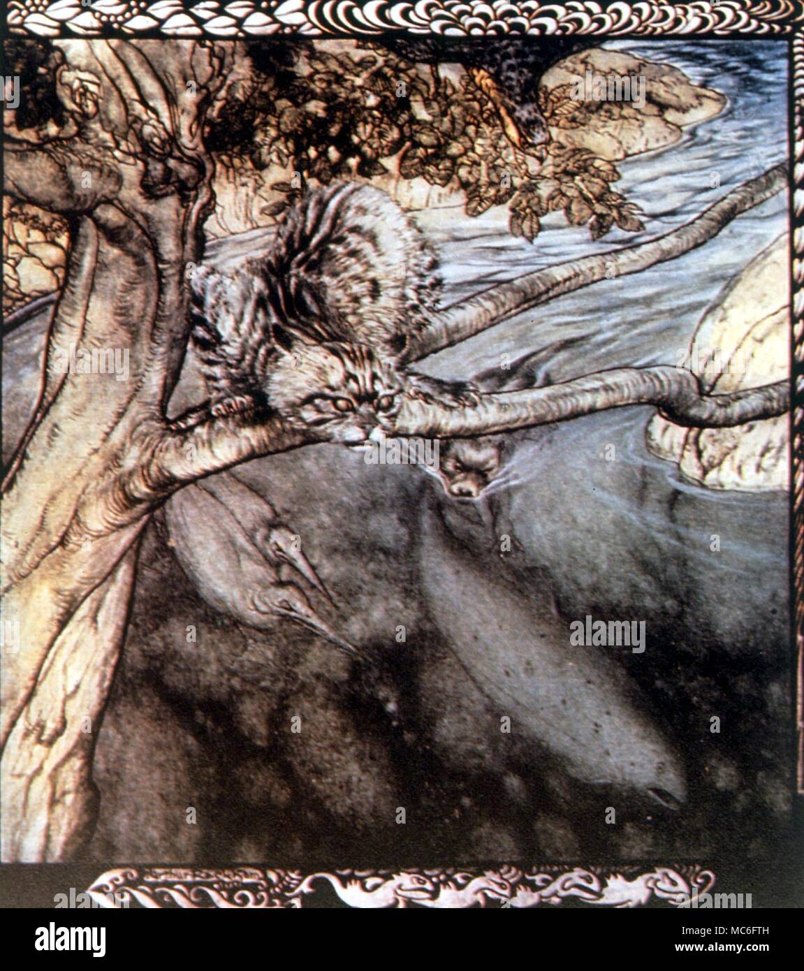 The cat watching for salmon - the repeated earth lives of Bran. Illustration by Arthur Rackham, for Stephens' 'Irish Fairy Tales' Stock Photo