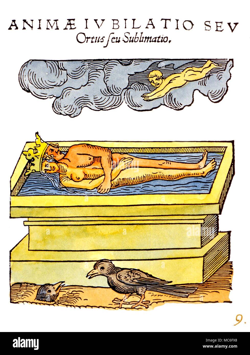 The black Crow, symbol of one of the stages of the alchemical process. The hermaphrodite is in the sarcophagus well. From the 1550 edition of 'Rosarium Philosophorum'. Stock Photo