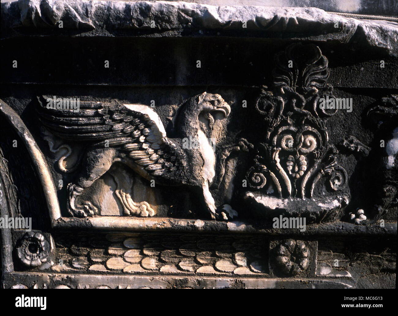Griffin, a fabulous beast with the head and wings of an eagle, and the body of lion. Bas relief inside the Greek temple at Didyma, Turkey. Stock Photo