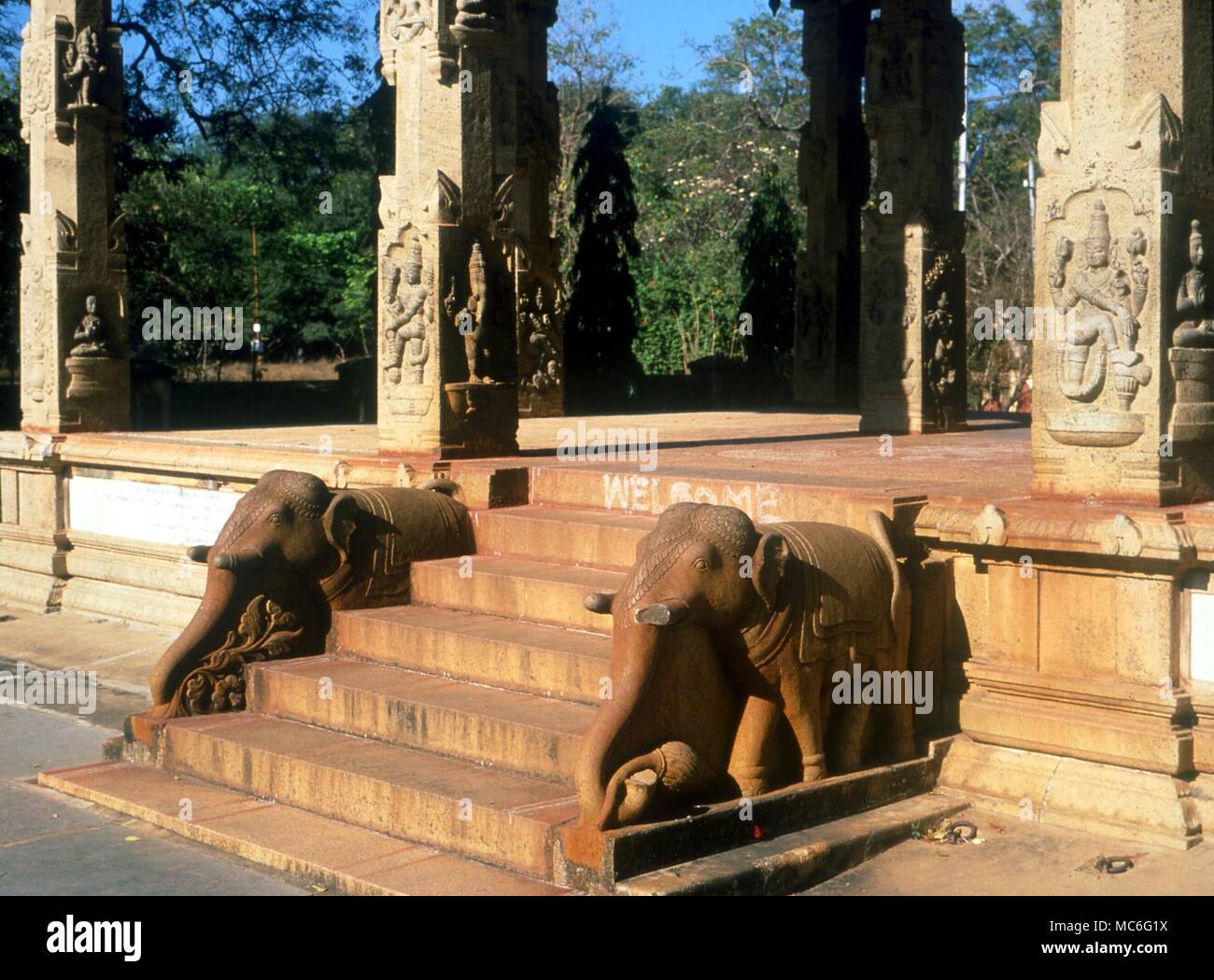 The Sacred Elephants Flanking The Entrance Steps To The - 