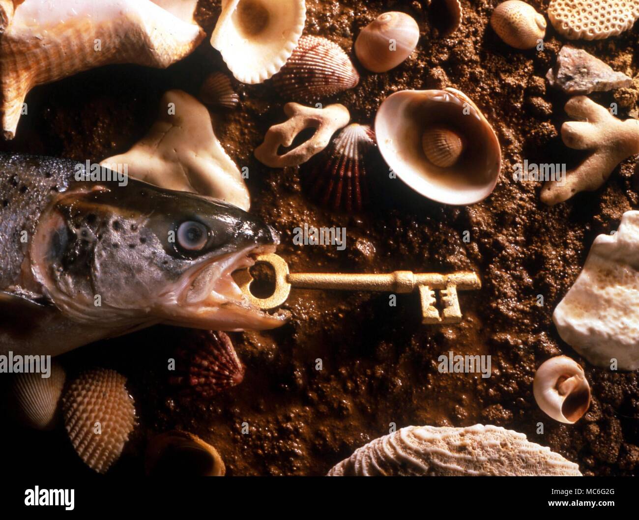 Fish (salmon) with golden key projecting from mouth - illustration to popular fairy tale about a magical fish. Stock Photo
