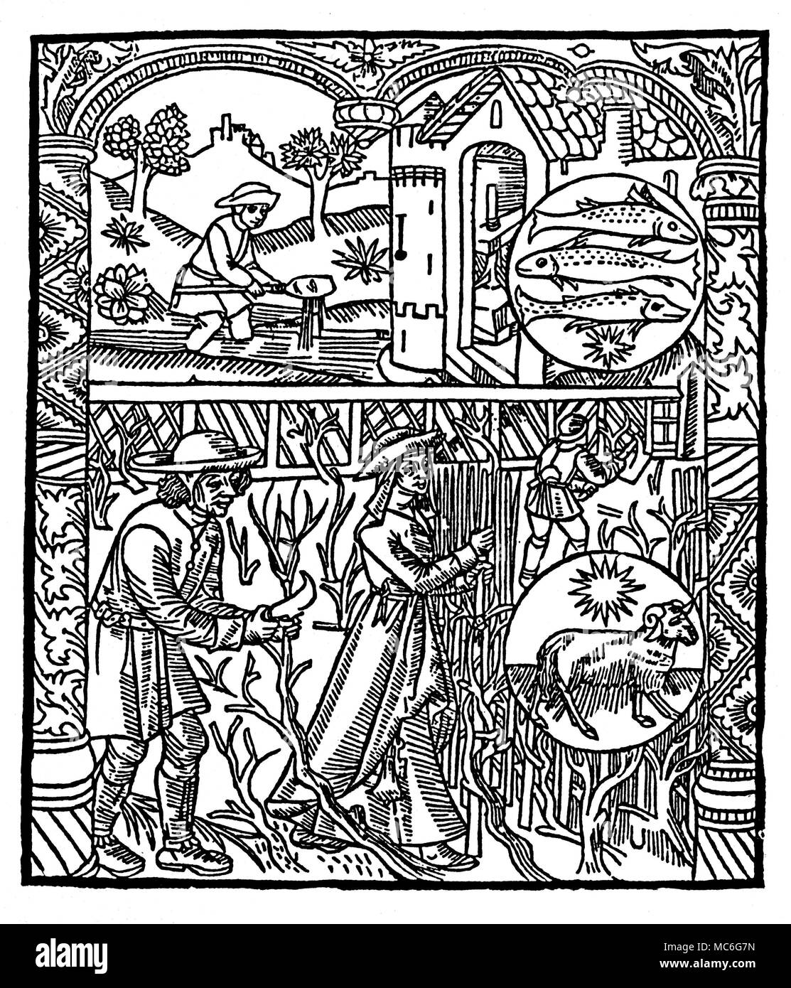 MONTHS - MARCH - PISCES & ARIES Woodcut depicting labourers repairing fences and ditches. The top roundel is the zodiac image for Pisces, with three fishes, in place of the traditional two; the bottom roundel is the image of Aries, the Ram. From Le Grant Kalendrier & compost des Bergiers avecq leur Astrologie, circa 1500. Stock Photo